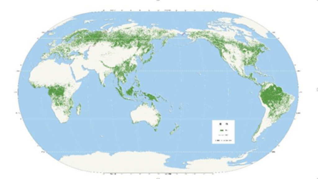 Chinese team announces world’s first forest distribution map at 30m ...